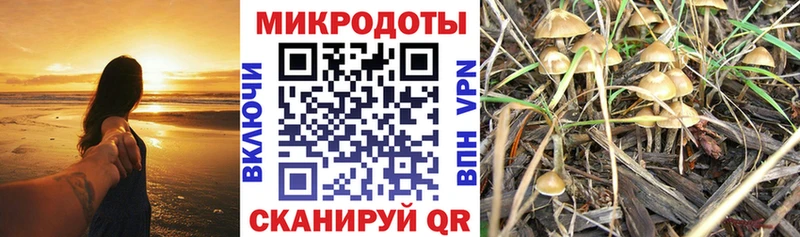 Псилоцибиновые грибы GOLDEN TEACHER купить Протвино