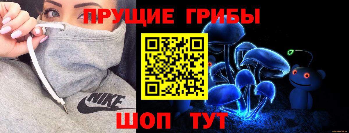 Протвино  Галлюциногенные грибы MAGIC MUSHROOMS  где купить наркотик  Галлюциногенные грибы прущие грибы  Вход с VPN 